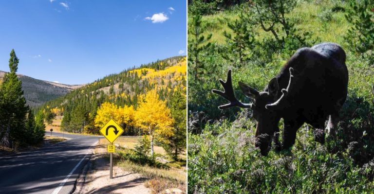 10 Colorado Scenic Drives Locals Avoid After Dark During Fall