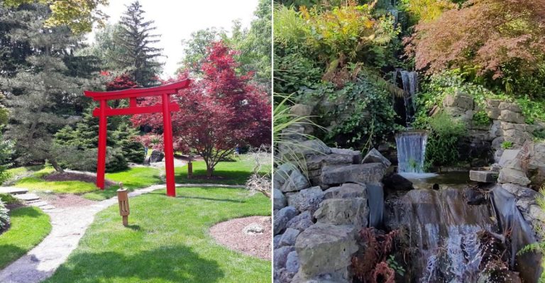 This Ohio Japanese Garden Wraps Ponds And Japanese Maples Around A Peaceful 30-Foot Waterfall