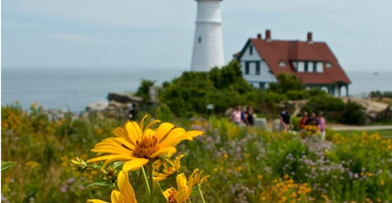 This Maine Arboretum Has A Gorgeous Lookout With Seriously Impressive Views
