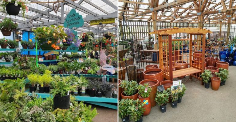 A Giant Purple Flamingo Watches Over This One-Of-A-Kind Washington Garden Market