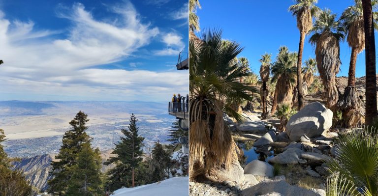 9 Warm-Weather Destinations In California To Visit This January