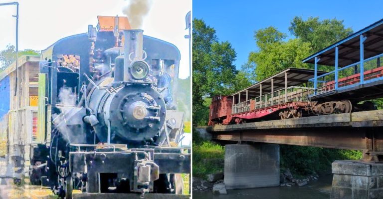 Skip The Theme Park And Ride This Wood-Fired Steam Train Through The Illinois Woods Instead