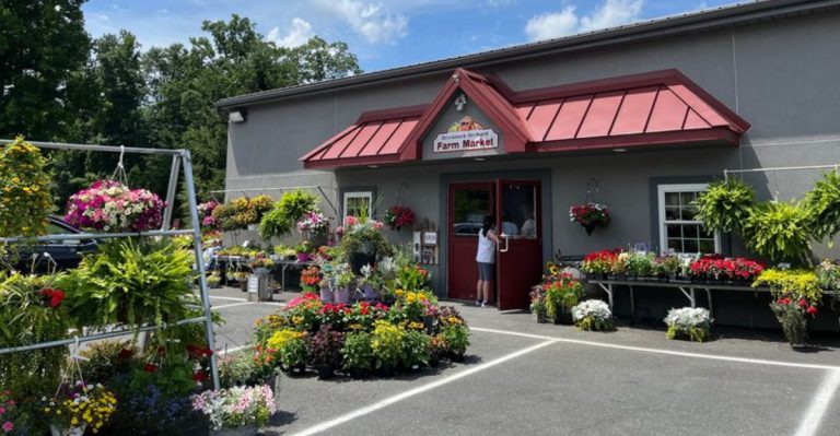 This Pennsylvania Orchard Bakery Makes Late-Summer Peach Pies Worth The Drive