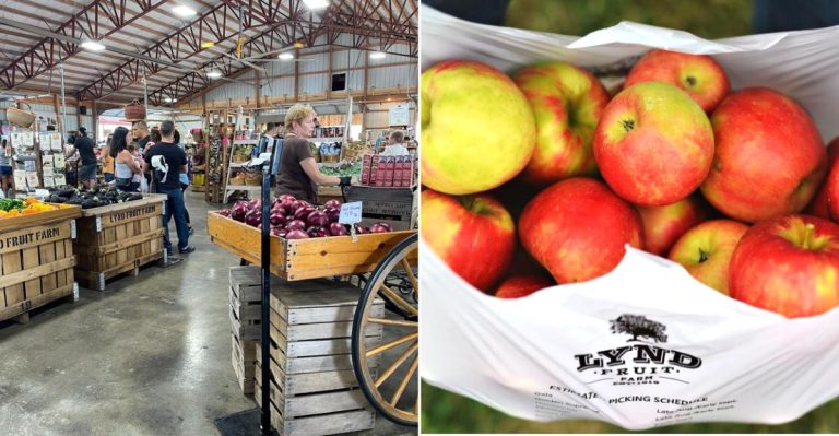 This Massive Central Ohio Farm Is The Ultimate Spot For Fall Apple Picking