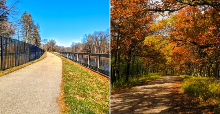 8 Flat, Free Illinois Trails Where Fall Color Lines Every Mile Of Your Walk