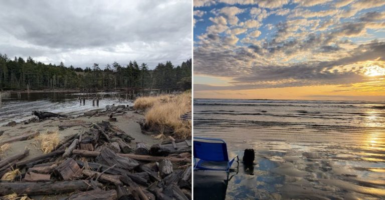 A Legal Clam Dig Turns This Wild Washington Beach Into A Coastal Treasure Hunt