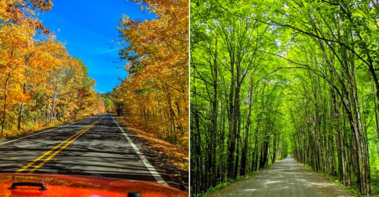 Best Michigan Fall Drives