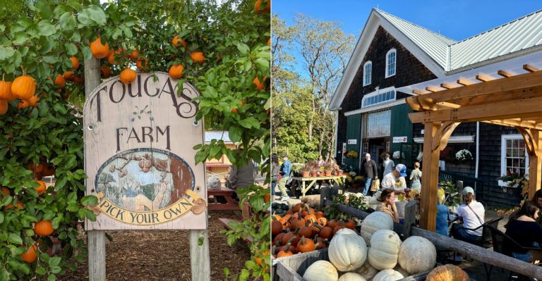 10 Cider Donut Stops In Massachusetts That Take A Fall Treat To The Next Level