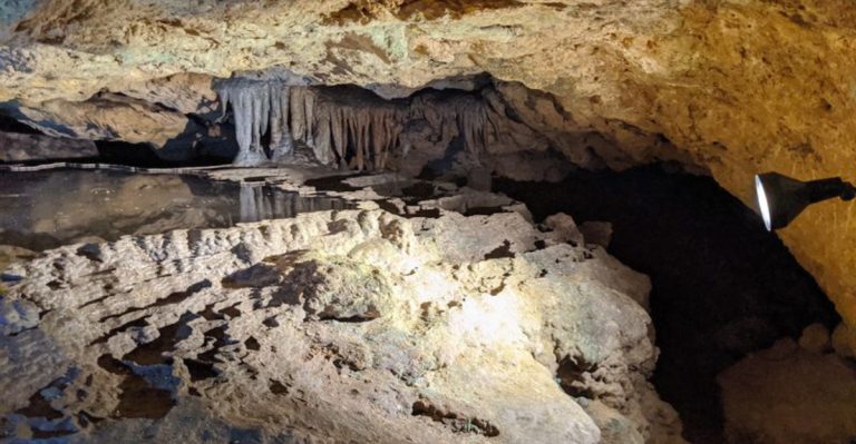 You Haven’t Truly Experienced Florida Until You’ve Taken This Incredible Cave Hike