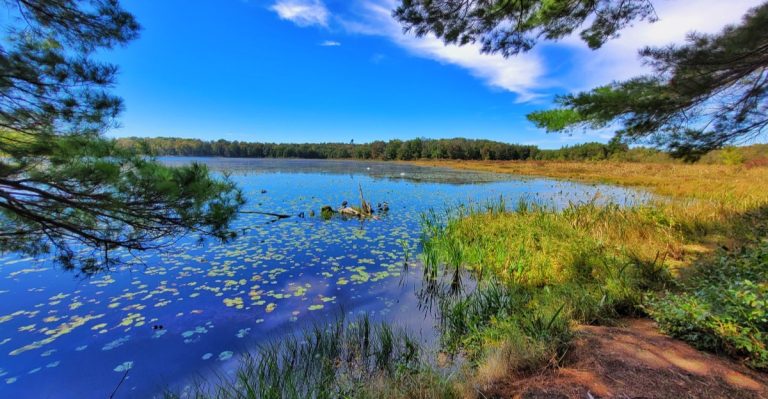 Pennsylvania’s Most Underrated Lake Has Miles Of Shoreline And Perfectly Tranquil Waters