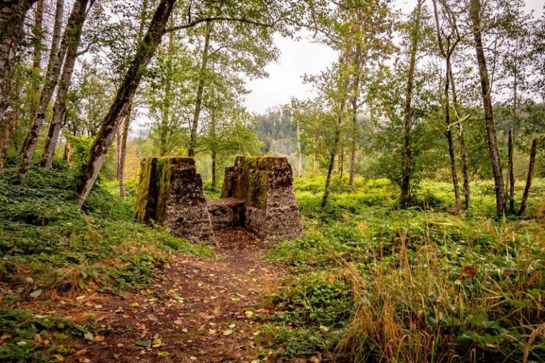 This Scenic Washington Ghost Town Hike Leads You Straight Into A Forgotten Coal Community
