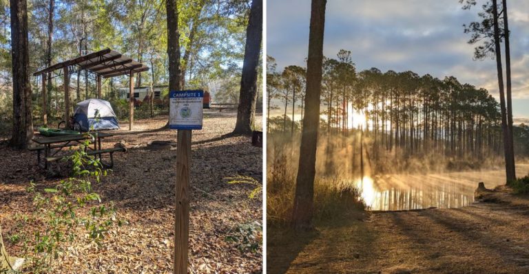 11 No-Reservation Campgrounds In Florida Made For Spontaneous Outdoor Trips