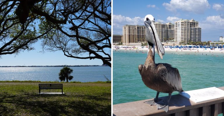 10 Florida Towns Losing Residents As Their Populations Keep Getting Older
