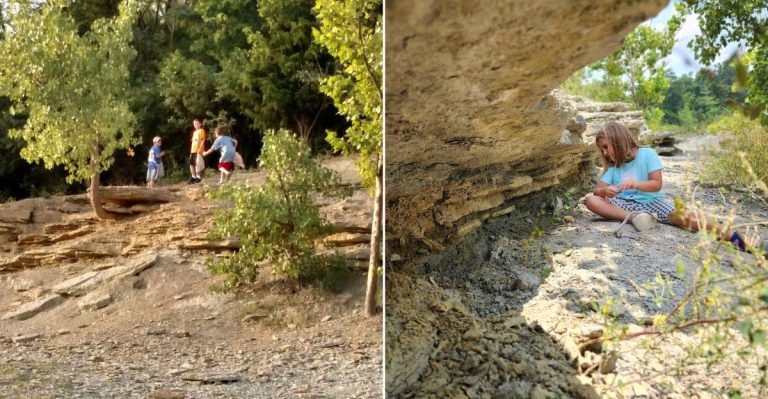This Ohio Fossil Park Is A Surprisingly Fun Summer Day Trip
