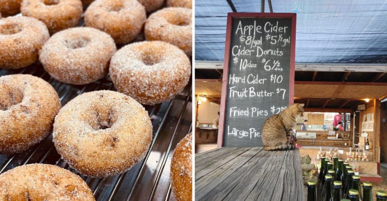 This South Carolina Orchard Is Worth The Drive For Its Famous Fresh-Baked Apple Turnovers
