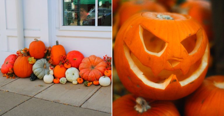 Fall Fest in Downtown Holland