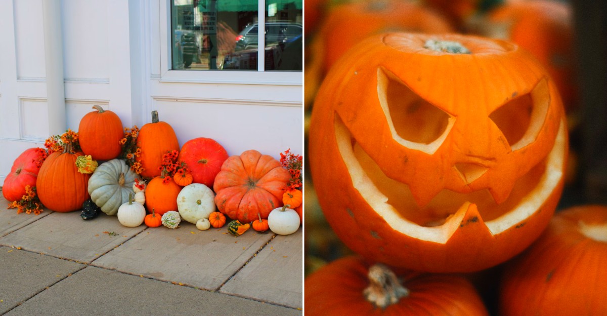 Fall Fest in Downtown Holland
