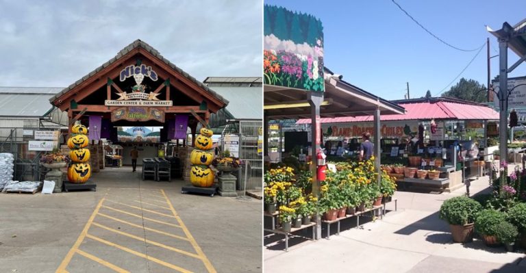 Plants, Produce, And Seasonal Finds Turn This Colorado Garden Center In Aurora Into A Full-Day Market Stop