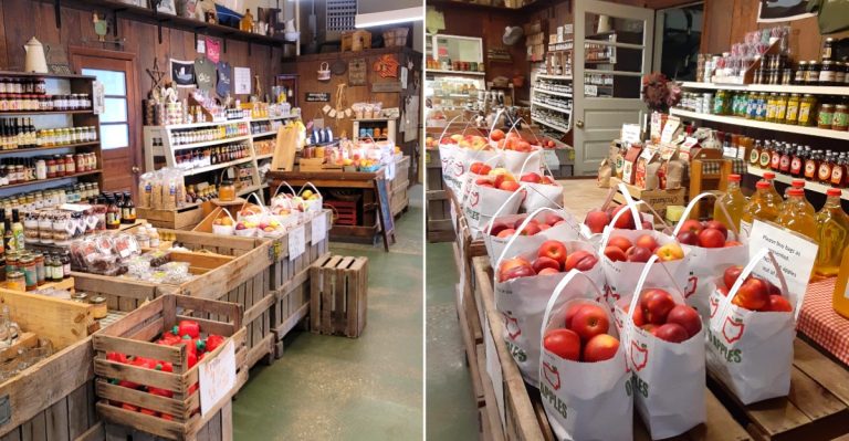 This Ohio Apple Orchard Was Just Named One Of The Best In America