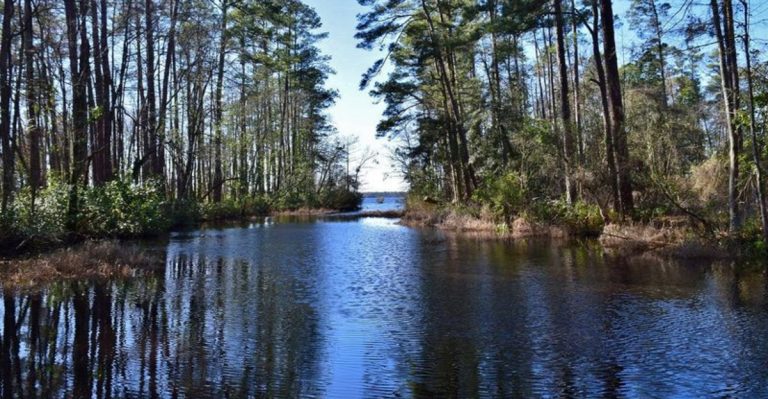 This North Carolina State Park Features A Lake That Feels Like A Secret Escape