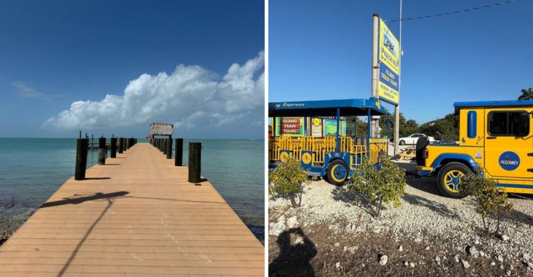 This Little-Known Open-Air Train Ride Might Be The Most Scenic Experience In Florida
