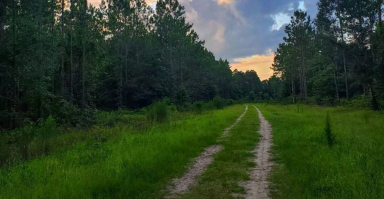 This 8-Mile Florida Trail Leads You Straight To An Abandoned Ghost Town