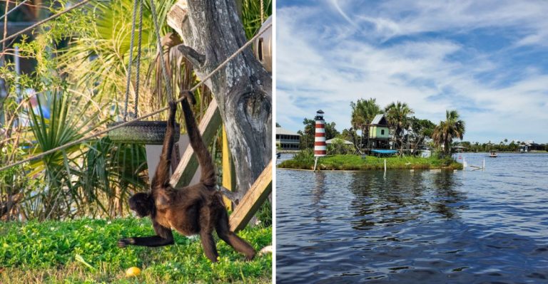 Florida’s Mini Alcatraz On Monkey Island Is Almost Too Wacky For Words