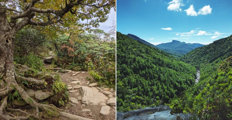 11 Appalachian Trails In North Carolina That Are Tougher Than They Seem