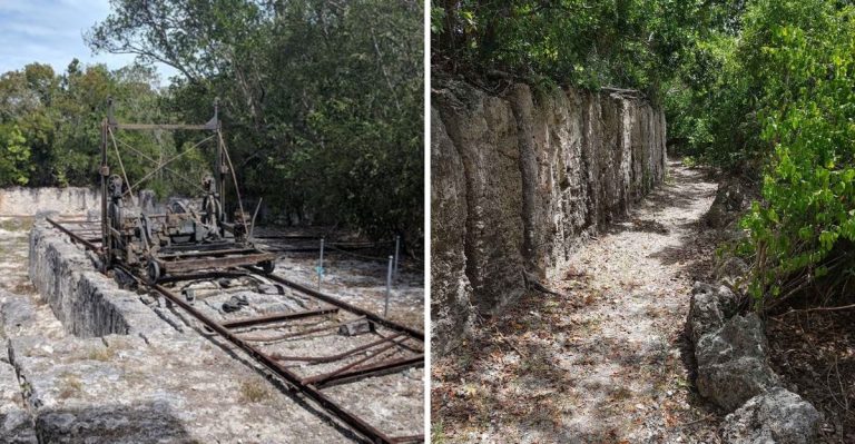 This Ancient Florida Quarry In The Keys Became A State Park Filled With Coral Fossils