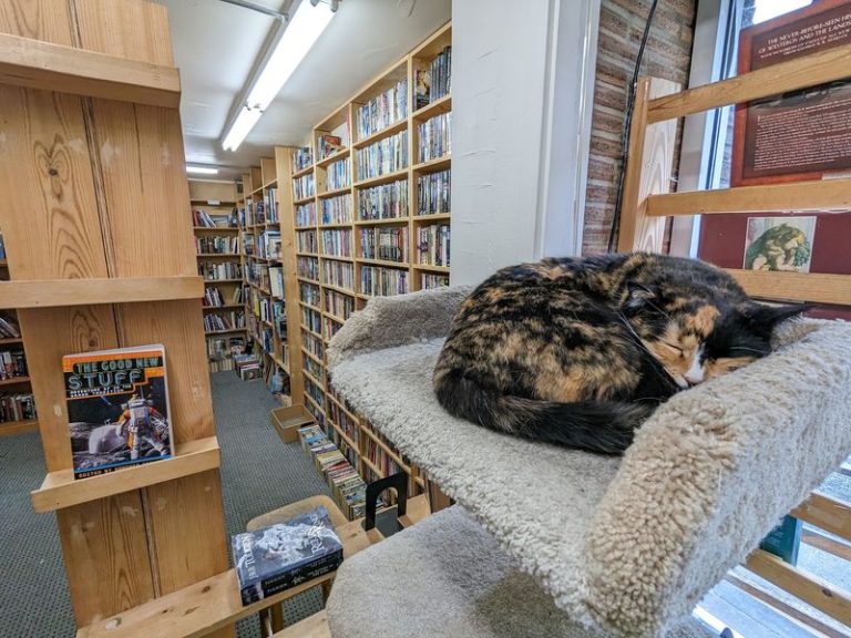This Giant Washington Secondhand Bookstore Is A Book Lover’s Dream Day