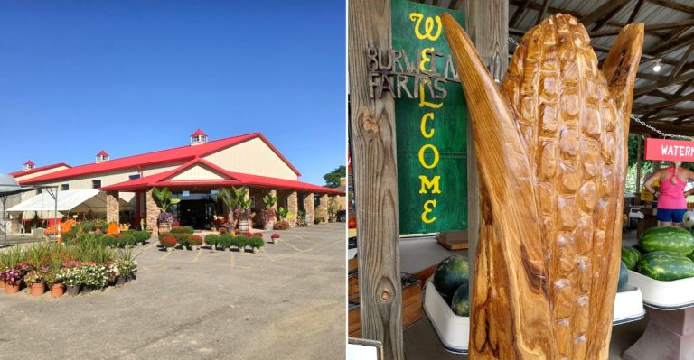 12 Ohio Sweet Corn And Farm Stand Stops That Taste Like Peak Summer