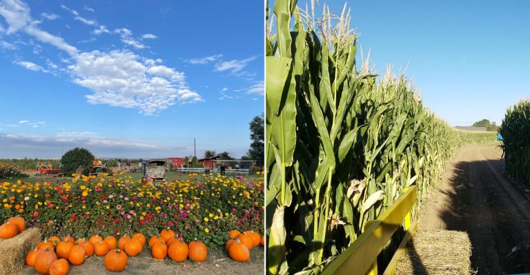 12 Colorado Places To Spend Halloween Weekend Without Going To A Haunted House