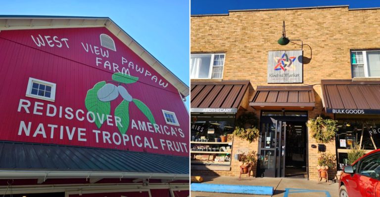 8 Ohio Pawpaw Treat Stops That Make September Taste Uniquely Ohio