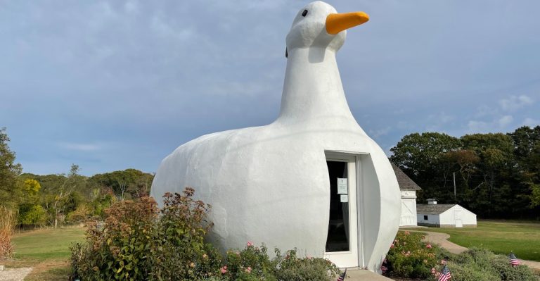 This Giant New York Duck Gets Its Own Holiday Lighting Every Year