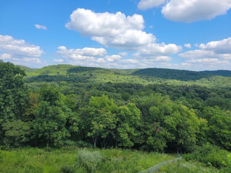 This Illinois Riverside State Park Lets You Paddle the Illinois River and Hike to Cliff-Top Overlooks