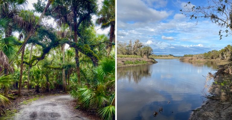 This Massive Florida State Park Has A Native Rattlesnake Population So Locals Know To Watch Their Step