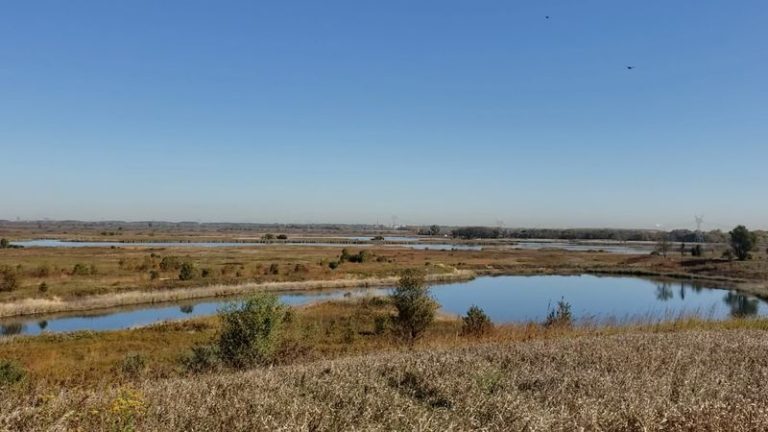 Look For Migrating Sandhill Cranes This Fall At Goose Lake Prairie State Natural Area In Morris, Illinois