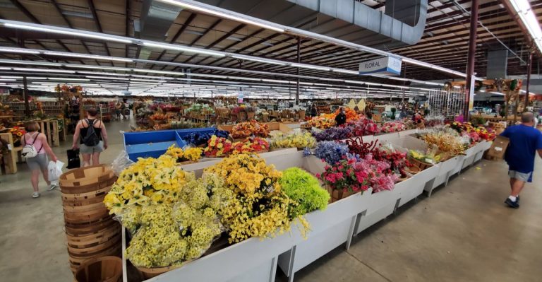 This North Carolina Pottery Warehouse Is A Must-Visit For Affordable Pots And Garden Finds