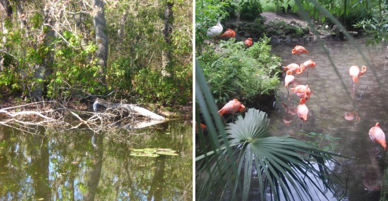 Why Retirees Are Quietly Moving To This Forgotten Florida Region