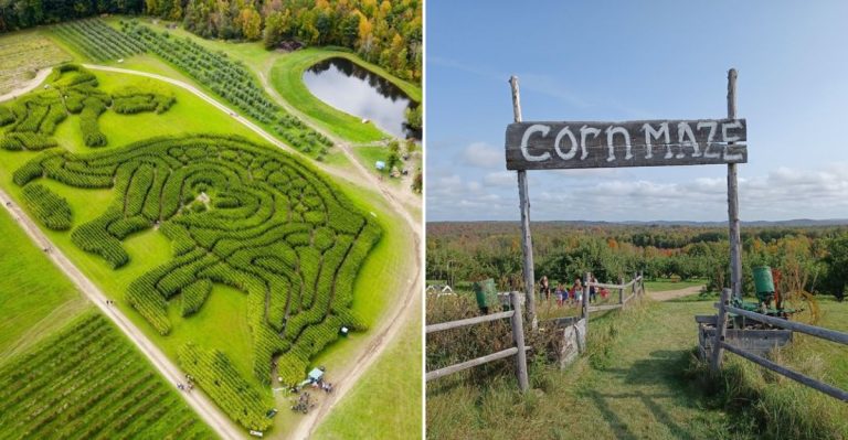 10 Maine Corn Mazes Worth Visiting On A Crisp September Weekend