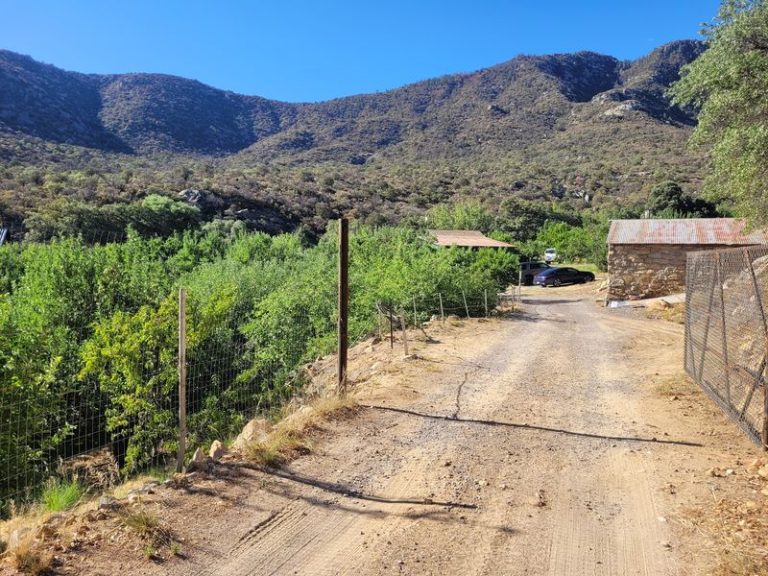 This Arizona Mountain Apple Orchard Is Worth Saving Extra Trunk Space For This Fall