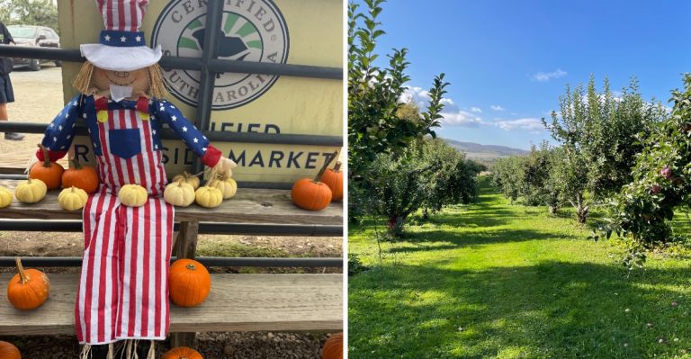 This South Carolina Apple Orchard Is One Of The State’s Best Fall Road Trip Destinations