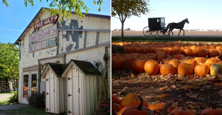 This Tiny Amish Town In Illinois Is Perfect For A Cozy Fall Day Trip