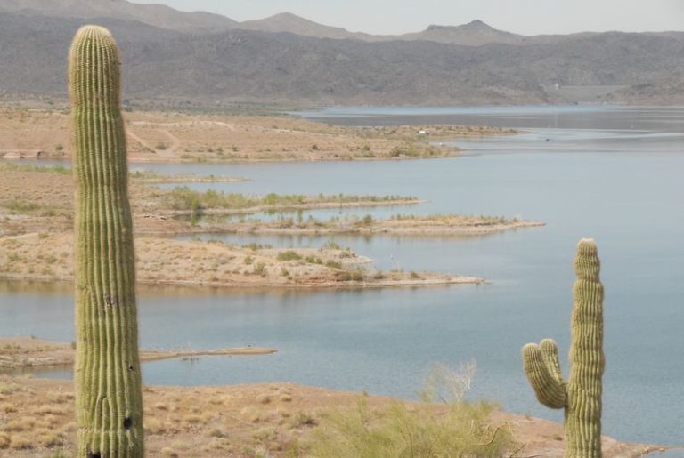 Seven Dollars Buys You A Whole Afternoon Under The Stars At This Arizona Campground