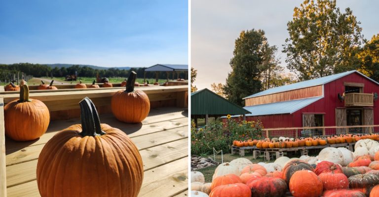 9 Arkansas Pumpkin Patches And Farm Festivals Worth The Drive This October