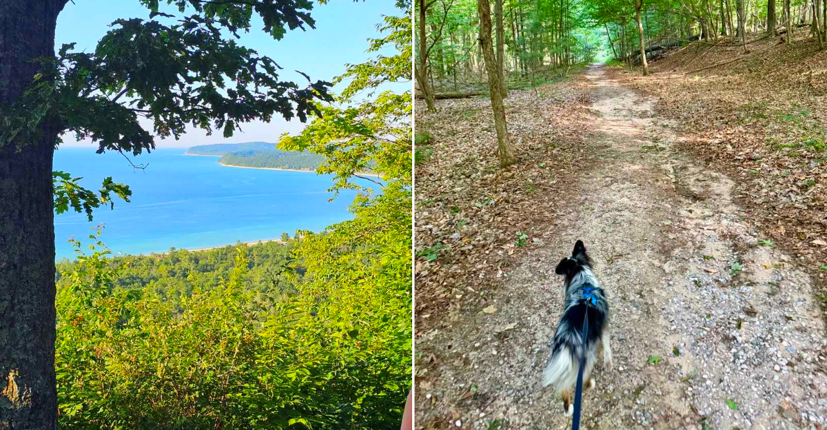 Alligator Hill Trail’s Forest Haven Drive Trailhead