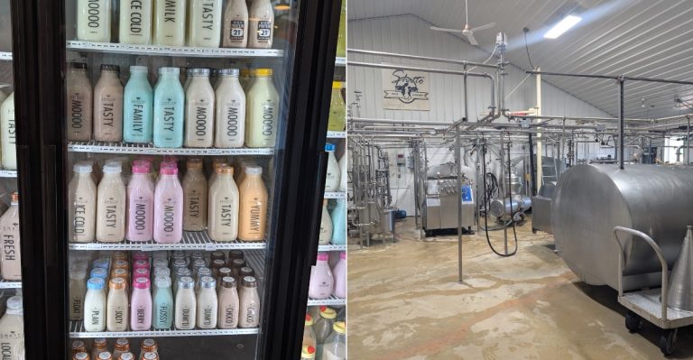 Missouri Milk Comes In Glass Bottles Here, And Visitors Can Watch Them Get Washed And Filled Again