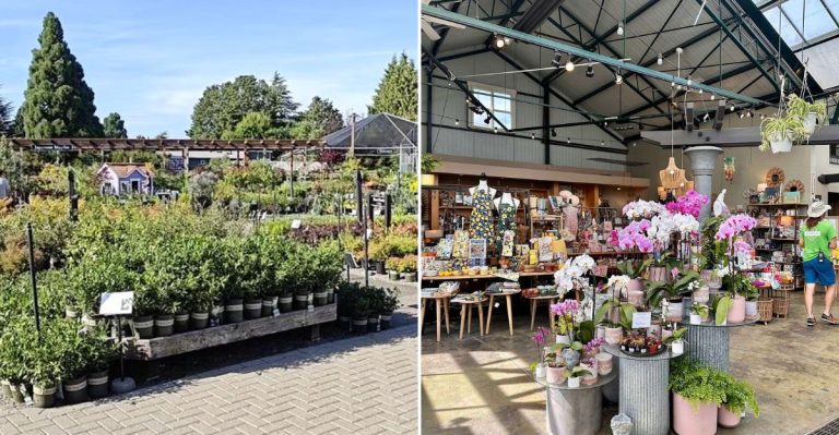 This Washington Garden Center Turns A Coffee Break Into A Tropical Escape