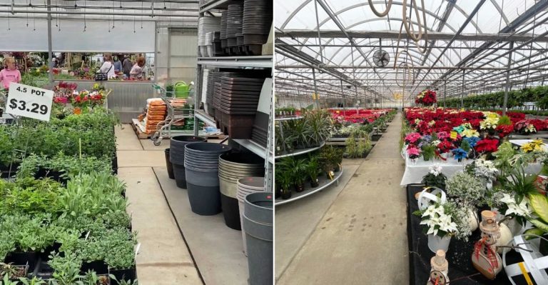 This Pennsylvania Garden Warehouse Hides A Treasure Trove Of Cheap Pots And Garden Finds