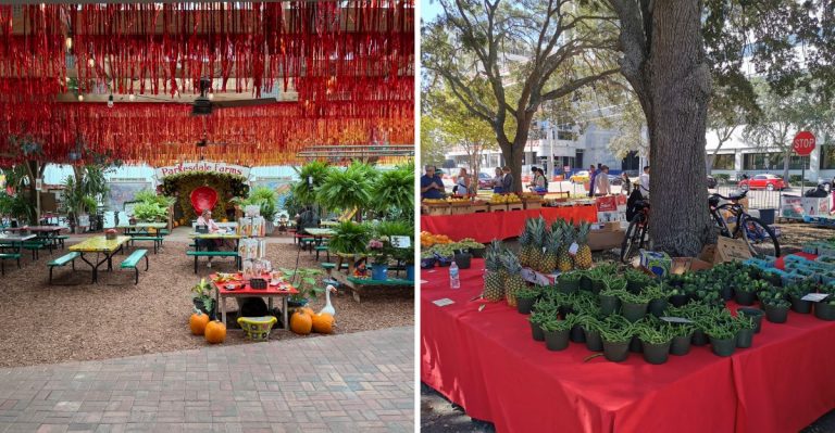 We Ranked The 8 Best Farm-Fresh Markets In Florida And Here Are The Results